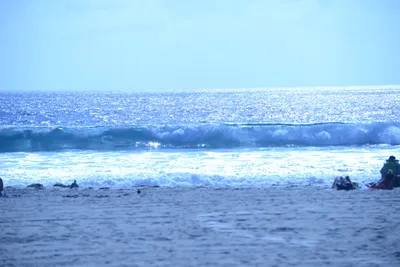 DSC_5007 (Large).JPG